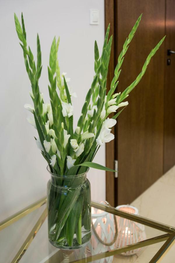 Stella Resort & Spa Chłapowo 外观 照片